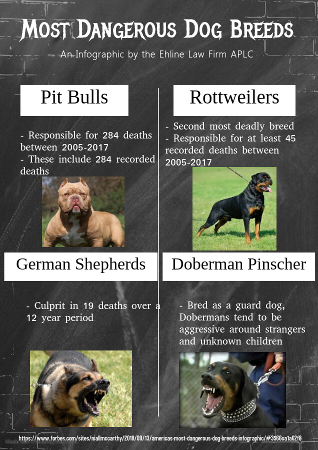 5 Most Dangerous Breeds EXIF