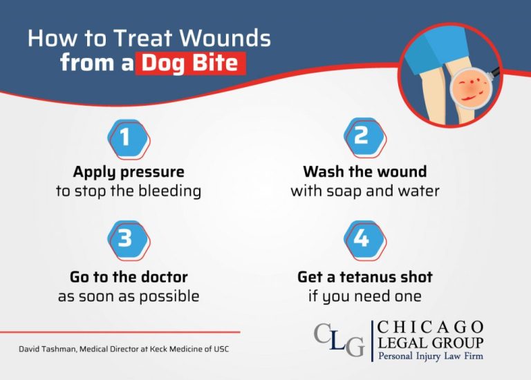 5 Key Steps To Take If You’re A Victim Of A Dog Bite