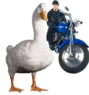 Aflac