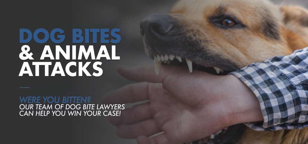 Dog Bite Attorney Bend Oregon