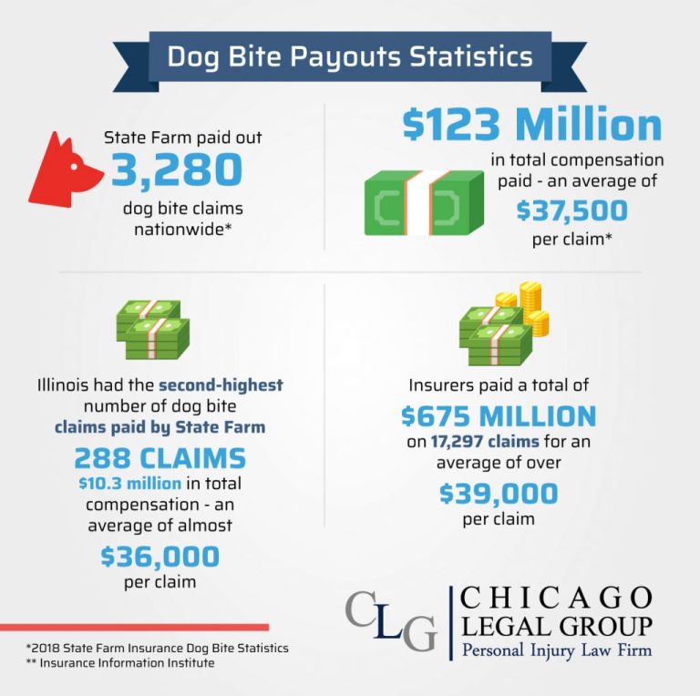 Dog Bite Claims Vs Personal Injury Claims: What’s The Difference In 2023?