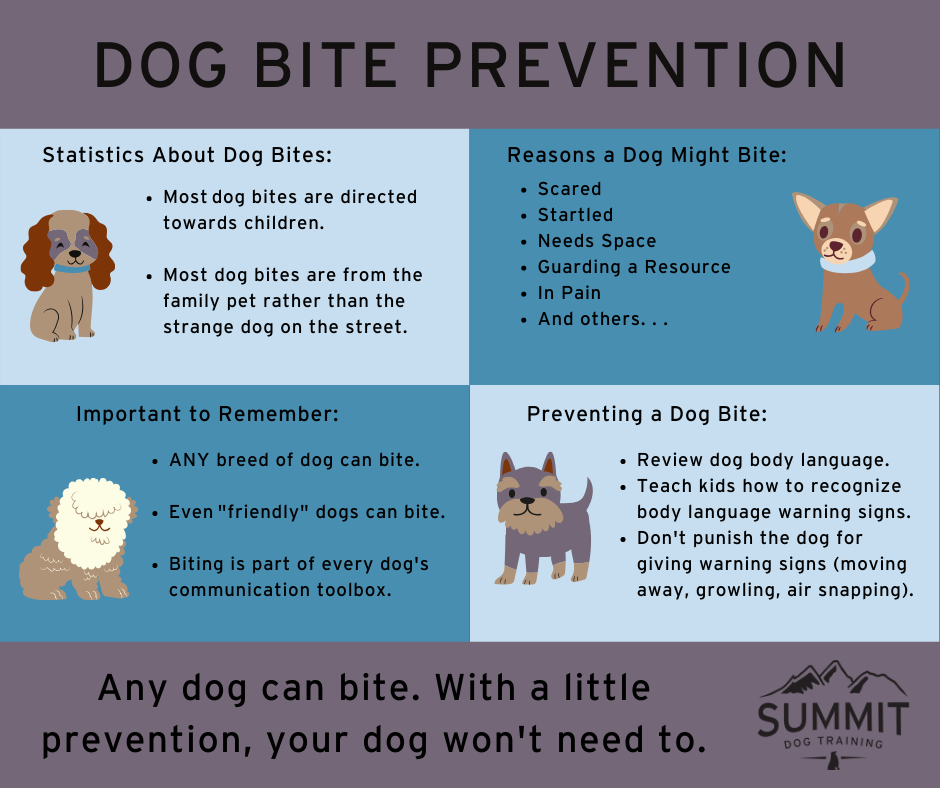 Dog Bite Prevention Strategies