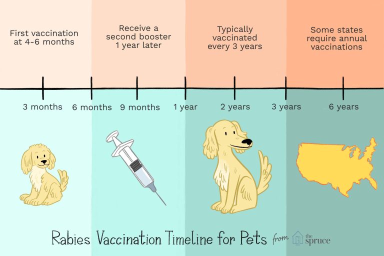 How Long After Dog Bite Rabies Vaccine