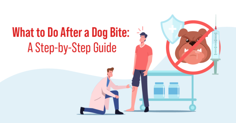 Navigating Liability In Dog Bite Cases: A Step-by-Step Guide