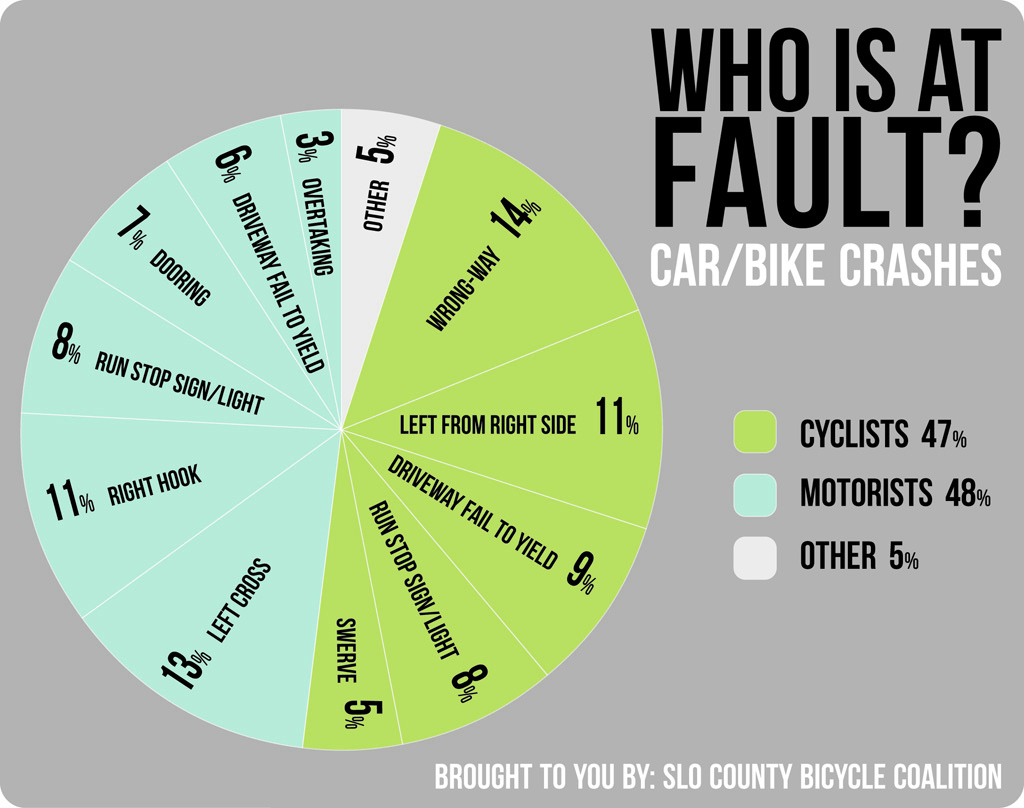 WHOSE AT FAULT INFO GRAPHIC