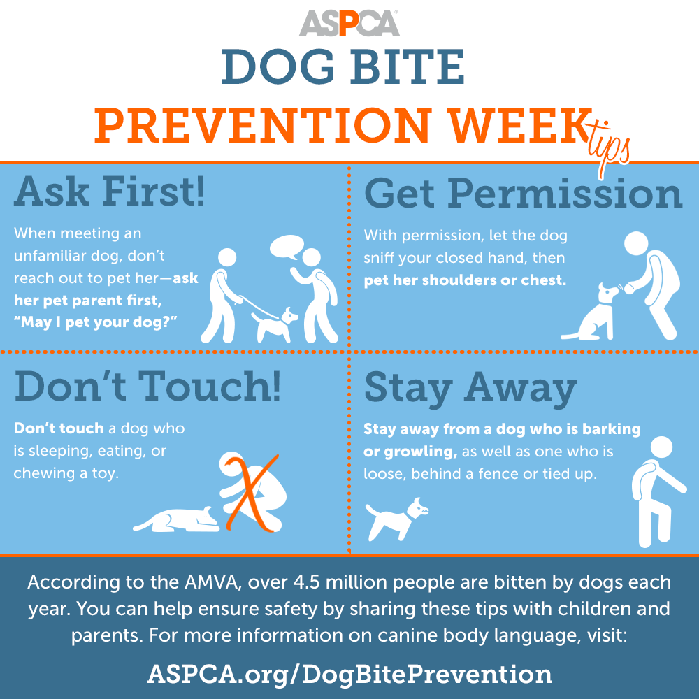 blog dog bite prevention tips infographic 052217 update