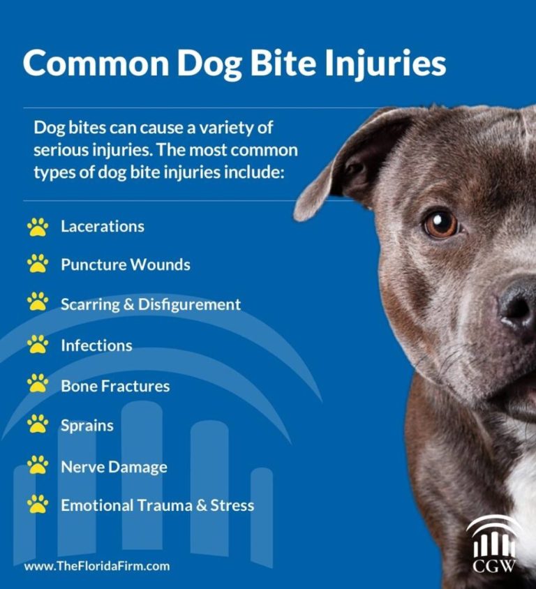 Seeking Compensation For Dog Bite Injuries: Your Legal Rights Explained