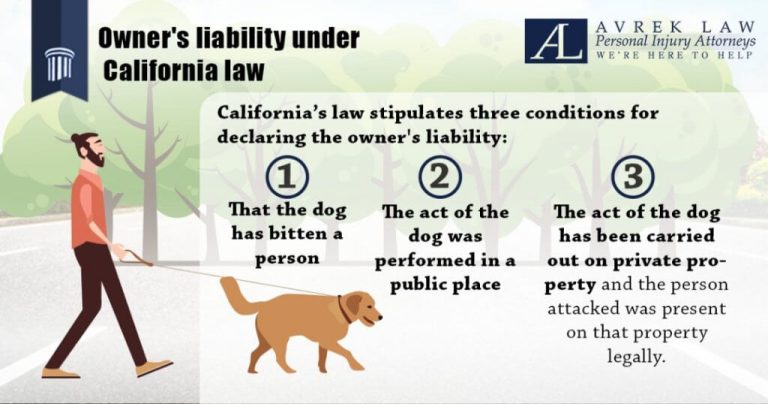 Dog Bite Laws Vs Animal Control Laws: Which Is Better For You In 2023?