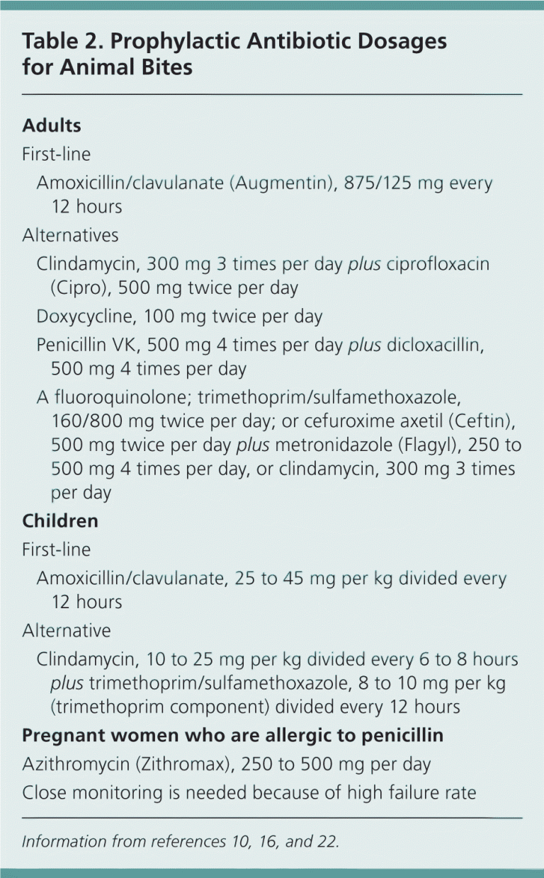 What Antibiotics Treat Dog Bites?