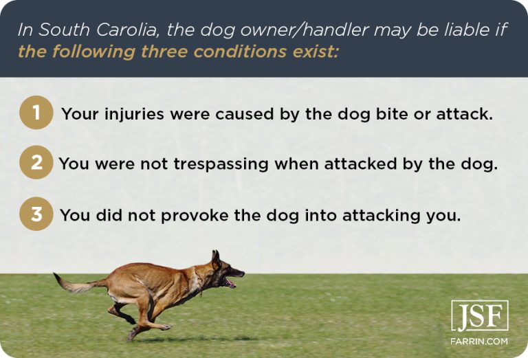 Understanding Dog Bite Laws: A Comprehensive Guide