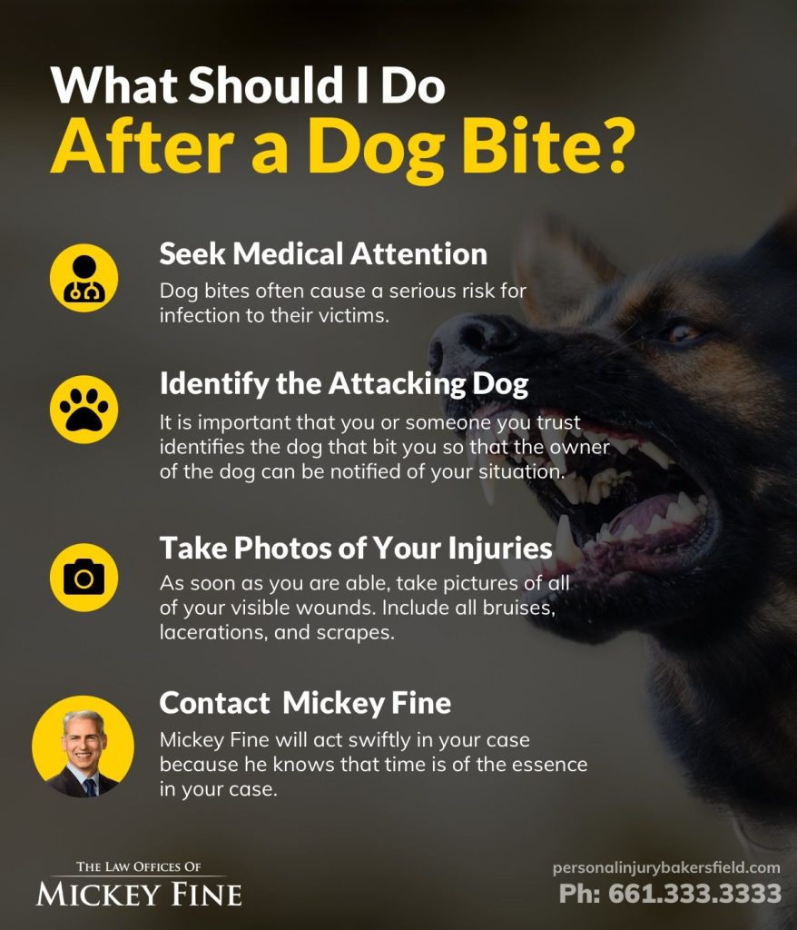 what should i do dog bite